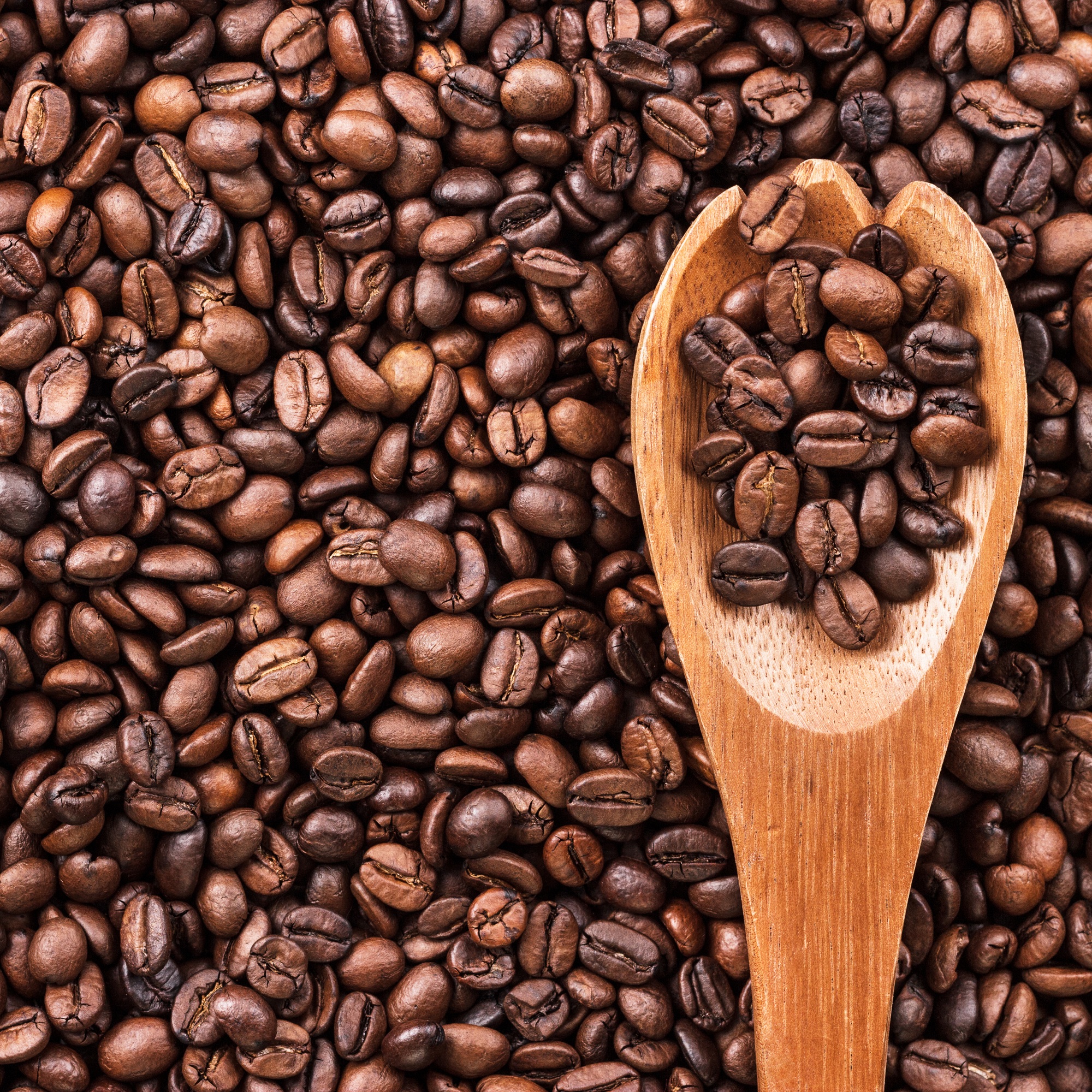 Charleston Coffee Services